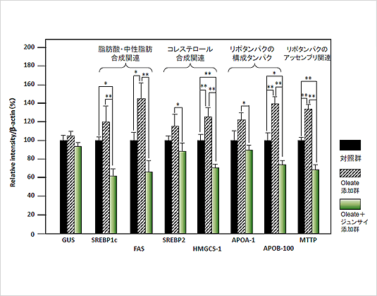 細胞を用いた試験